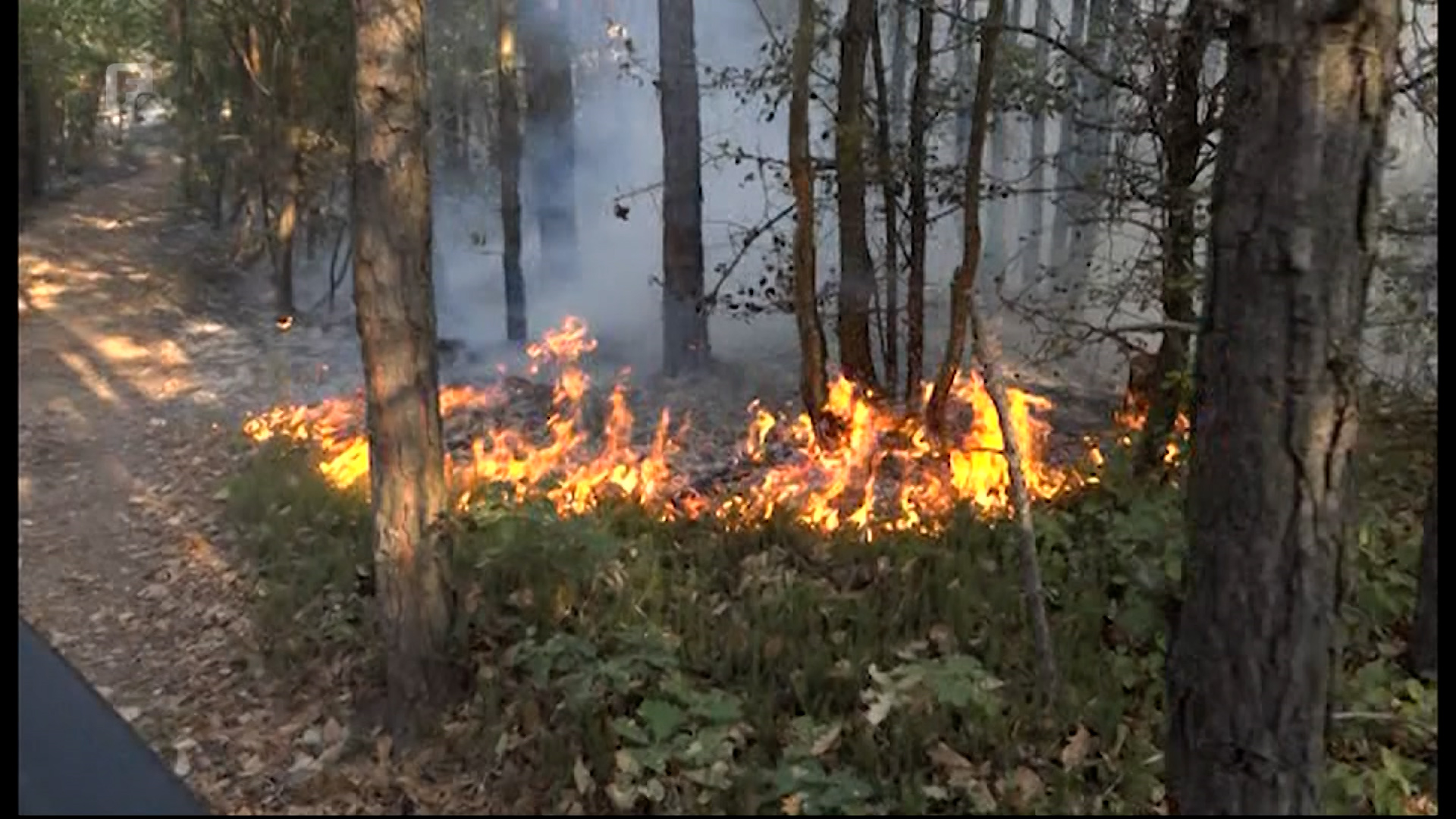 Požar u maglajskom naselju Radojčići, zatražena pomoće helikoptera OSBiH